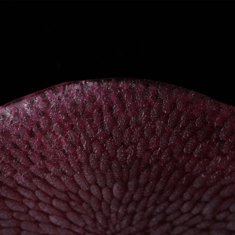 66961b38e0d478002fa69ee2