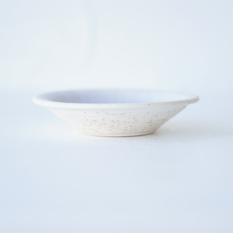 g*o様 岩崎龍二 大皿 g*o様 岩崎龍二 大皿 g*o様 岩崎龍二 大皿 岩崎 龍二（