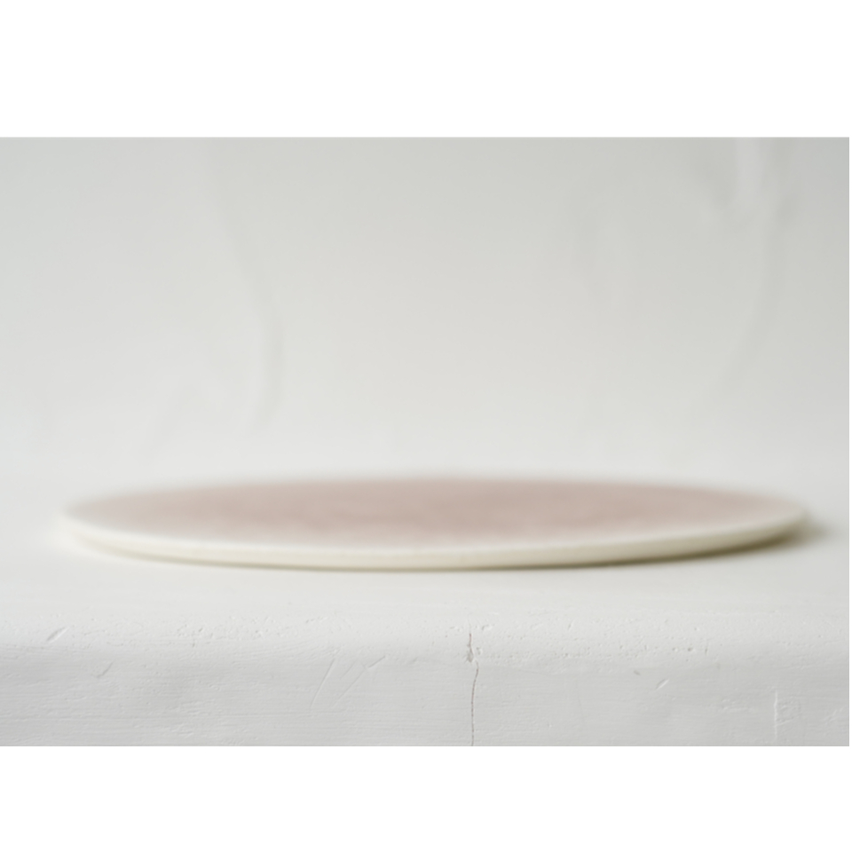 岩崎龍二さん　3点セット NO.57-H 岩崎龍二 Φ25㎝ フラットプレート 椿 | JIBITA