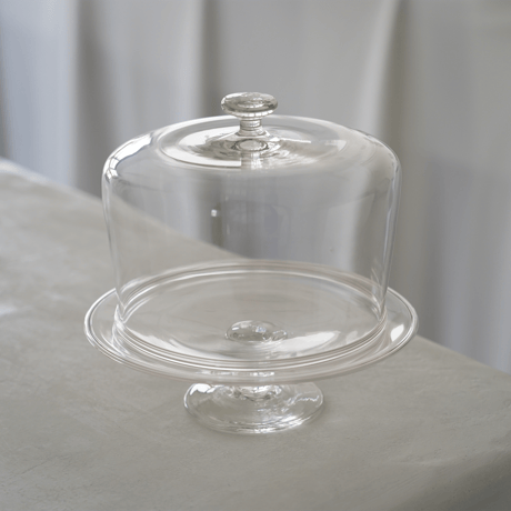 菊地大護　7.  Dome（M）