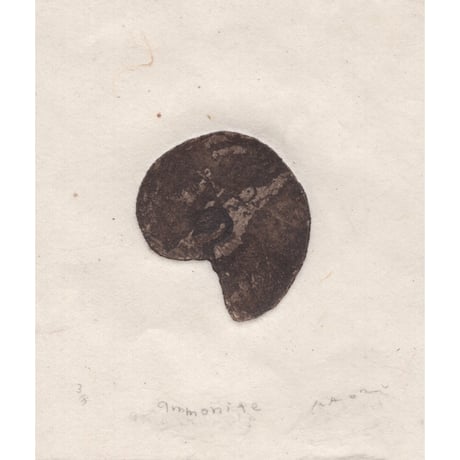 古屋郁　銅版画　44「ammonite」　ed.3/7