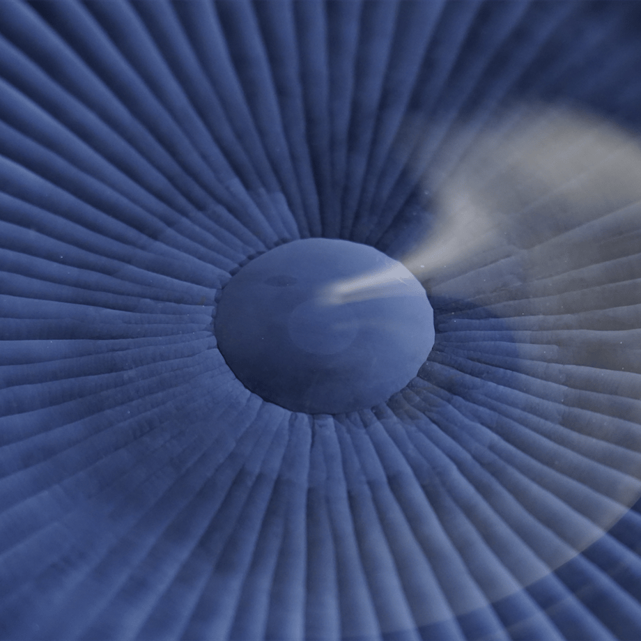 68a426216c3f1e4492b0d136