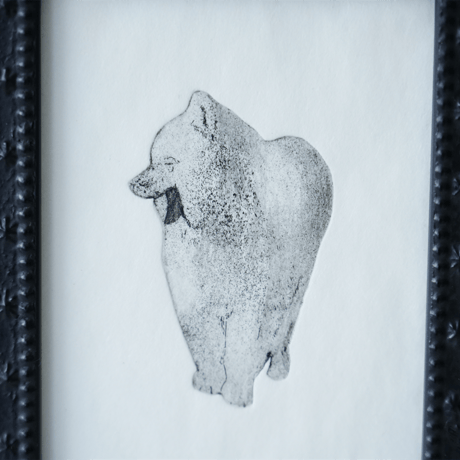 古屋郁　銅版画　16「あくびサモエド」　ed.1/7
