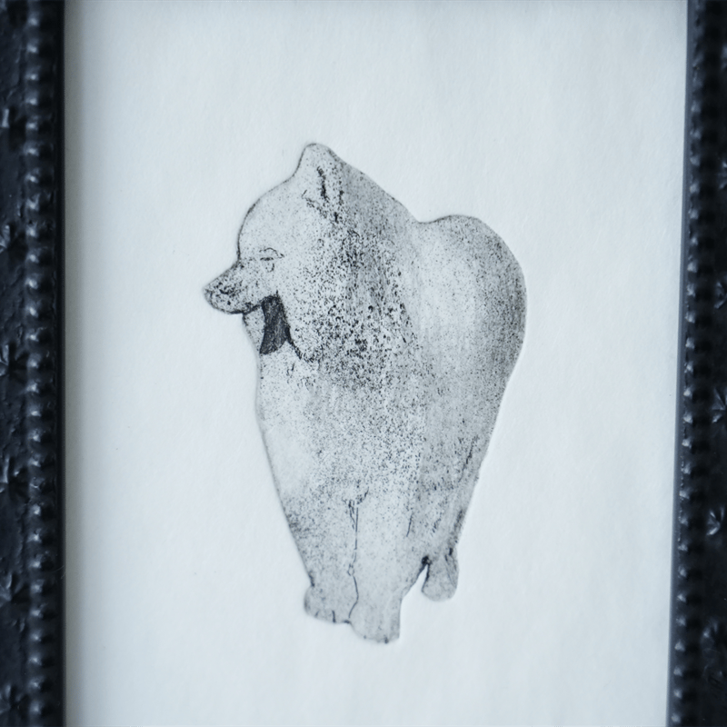 古屋郁 銅版画 16「あくびサモエド」 ed.1/7 | JIBITA