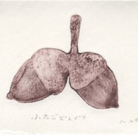 古屋郁　銅版画　2「ふたごどんぐり」　ed.2/7