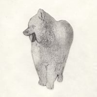 古屋郁　銅版画　16「あくびサモエド」　ed.1/7