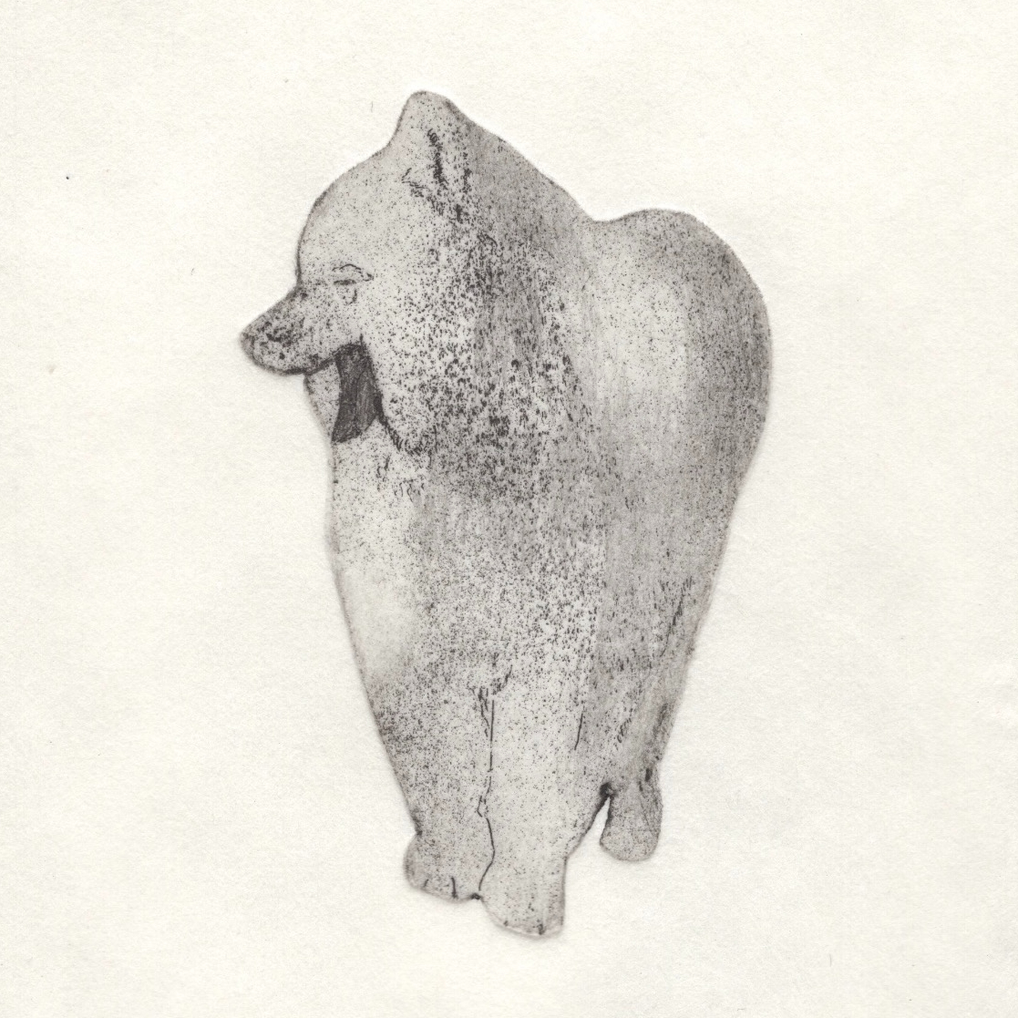 古屋郁 銅版画 16「あくびサモエド」 ed.1/7 | JIBITA