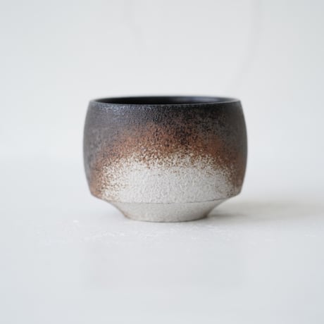 CATEGORY 渋谷英一 | JIBITA