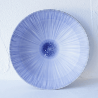 NO.11-F 岩崎龍二 Φ18.3㎝ 6寸リム鉢 紫匂 | JIBITA