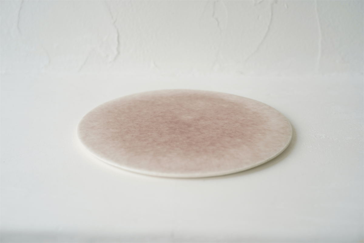 NO.57-B 岩崎龍二 Φ24.7㎝ フラットプレート 椿 | JIBITA