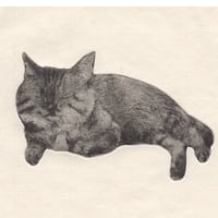 古屋郁　銅版画　41「ガソリンスタンドの猫」　ed.1/7