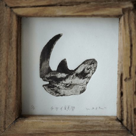 古屋郁　銅版画　46「ケサイ頭骨」　ed.1/7