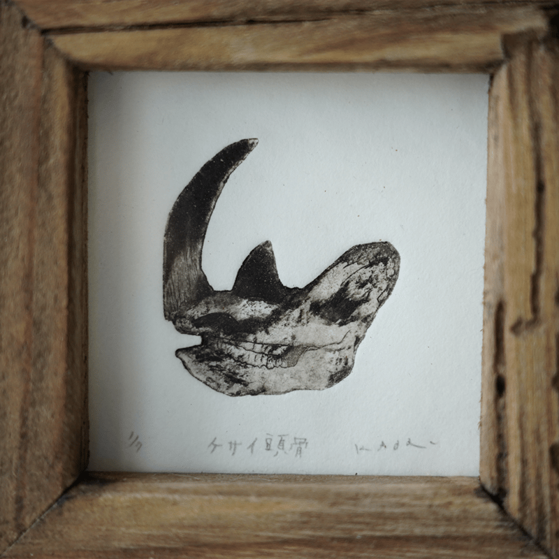 古屋郁 銅版画 46「ケサイ頭骨」 ed.1/7 | JIBITA