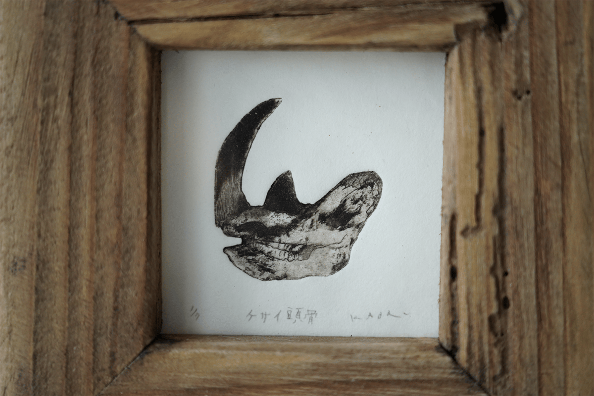 古屋郁 銅版画 46「ケサイ頭骨」 ed.1/7 | JIBITA