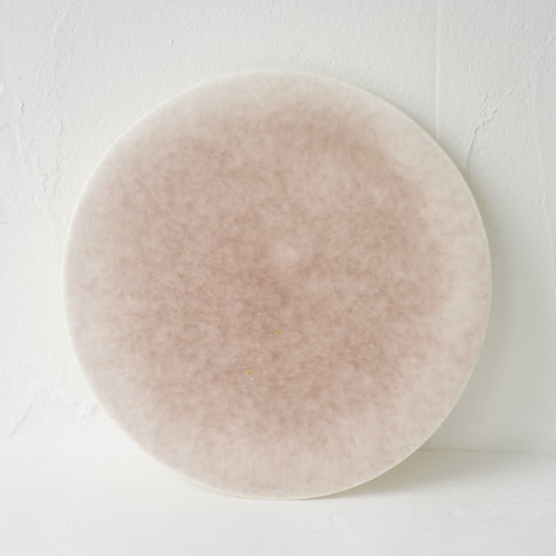 NO.57-B 岩崎龍二 Φ24.7㎝ フラットプレート 椿 | JIBITA