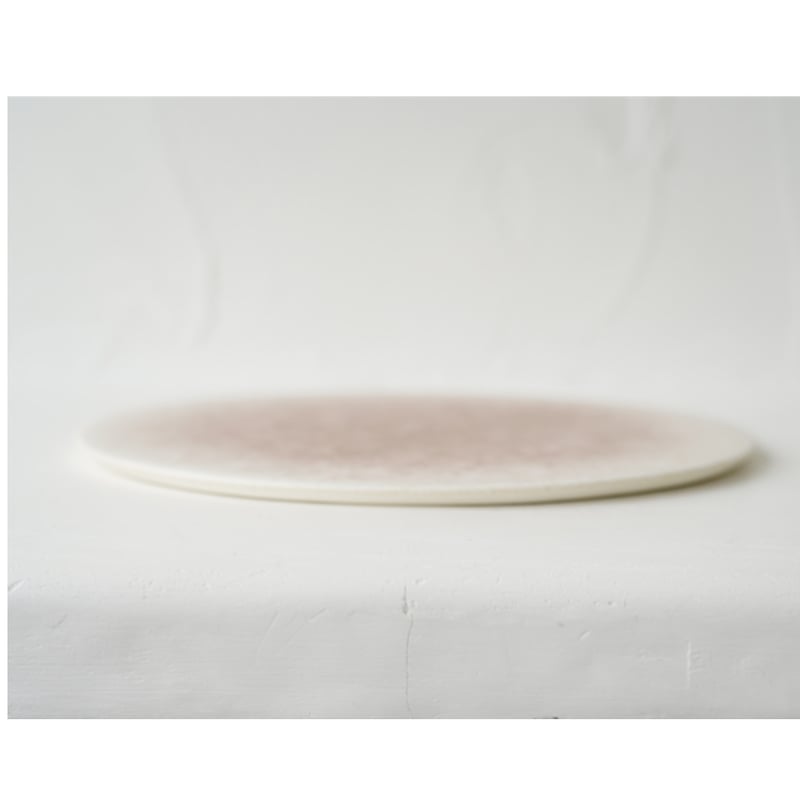 NO.57-E 岩崎龍二 Φ25㎝ フラットプレート 椿 | JIBITA