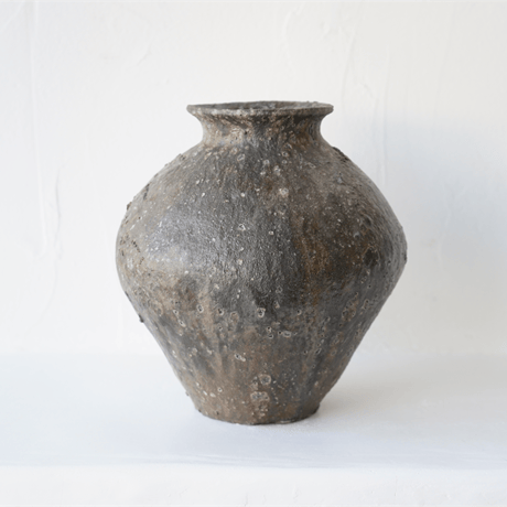 CATEGORY 八田亨 | JIBITA