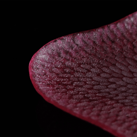ミウラユリナ　N　槌目花皿　L　red