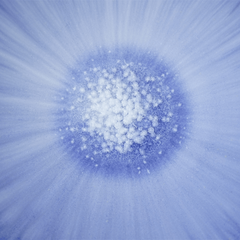 岩崎龍二さん　3点セット NO.7-T 岩崎龍二 Φ14.8㎝ 5寸平皿 紫匂 | JIBITA