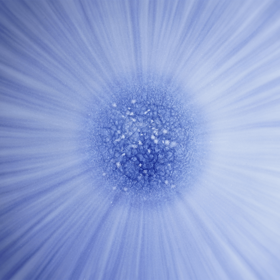 68fc513873ce6e0c0f2c6de6