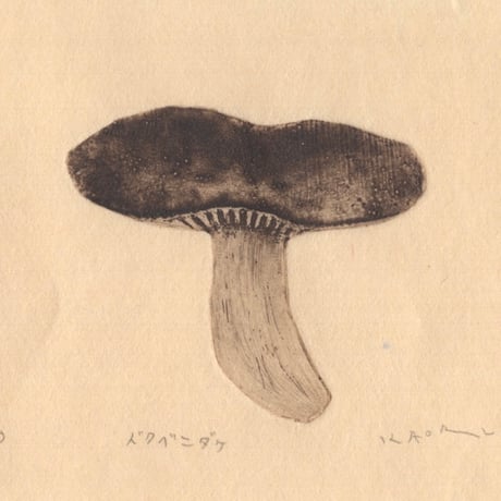 古屋郁　銅版画　26「ドクベニダケ」　ed.2/7