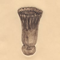 古屋郁　銅版画　36「レモンスカッシュ」　ed.2/7