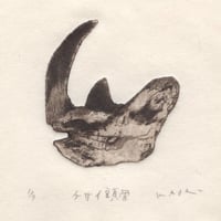 古屋郁　銅版画　46「ケサイ頭骨」　ed.1/7