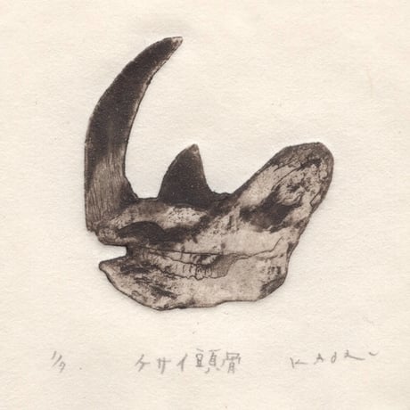 古屋郁　銅版画　46「ケサイ頭骨」　ed.1/7