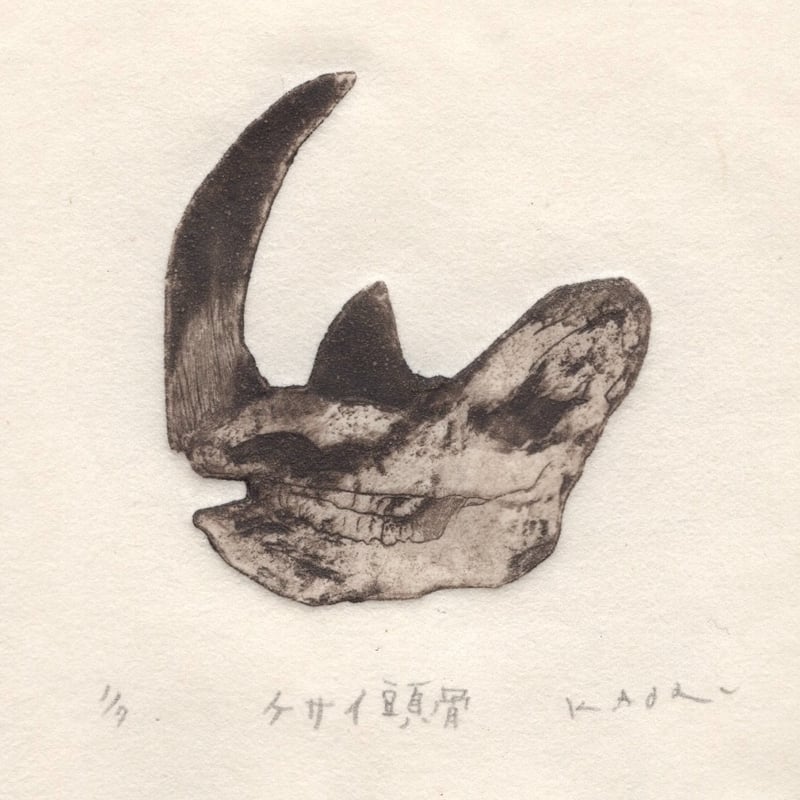 古屋郁 銅版画 46「ケサイ頭骨」 ed.1/7 | JIBITA