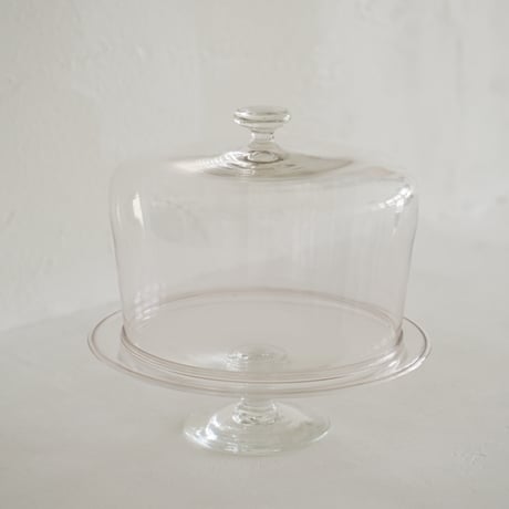 菊地大護　7.  Dome（M）