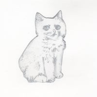 古屋郁　銅版画　37「青目の子猫」　ed.1/7