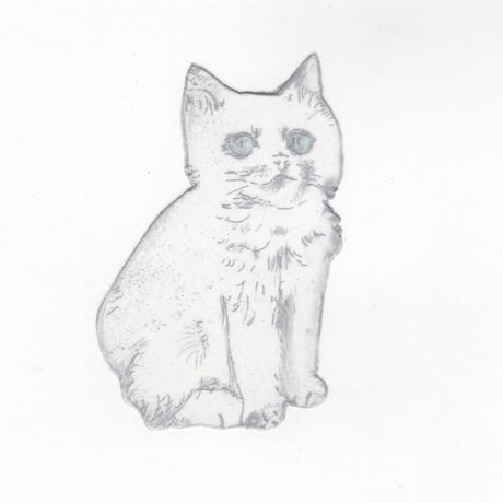 古屋郁　銅版画　37「青目の子猫」　ed.1/7