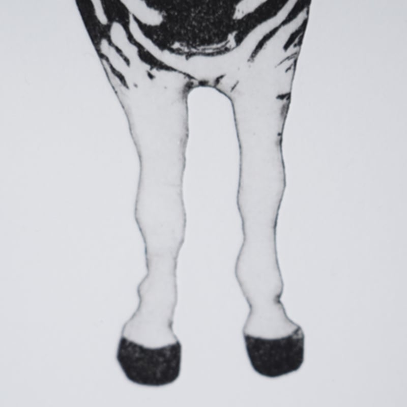 43 古屋郁 銅版画「しまうま」ed.1/7 | JIBITA 43 古屋郁 銅版画「しまうま」ed.1/7 | JIBITA