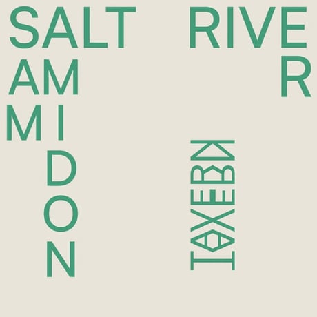SAM AMIDON / SALT RIVER / CD