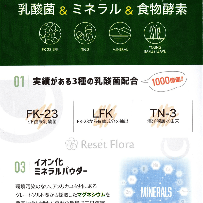 リセットフローラ グリーンモンスター | カラダヨロコブ屋