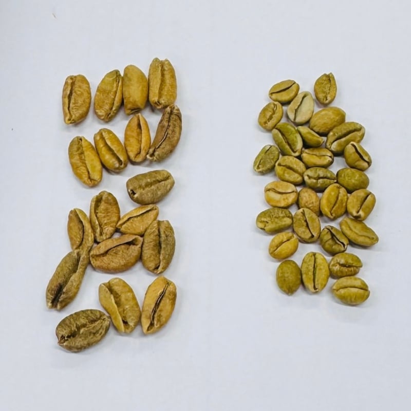 Uganda チャガラニ エクセルサ Natural 深煎り 230 | Satie coffee