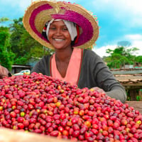 Uganda Chagalani Excelsa | Satie coffee