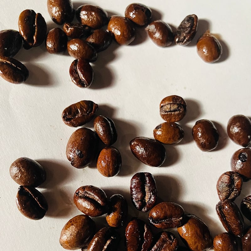 Uganda チャガラニ エクセルサ Natural 深煎り 230 | Satie coffee