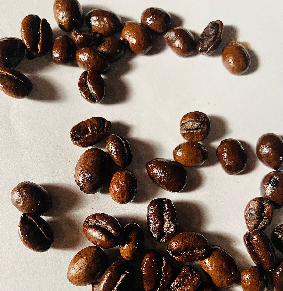 Uganda チャガラニ エクセルサ Natural 深煎り 230 | Satie coffee