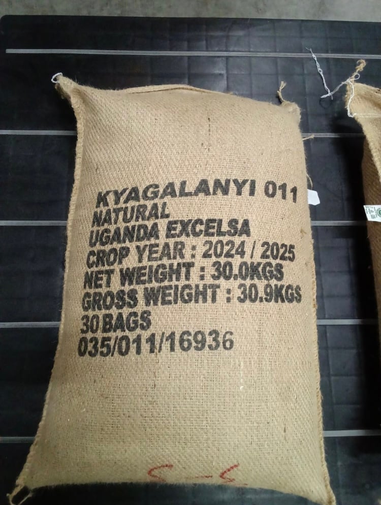 Uganda チャガラニ エクセルサ Natural 深煎り 230 | Satie coffee