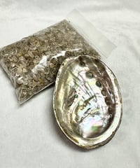 ゴールドルチルさざれ　贅沢に500gとアバロンシェルのセット