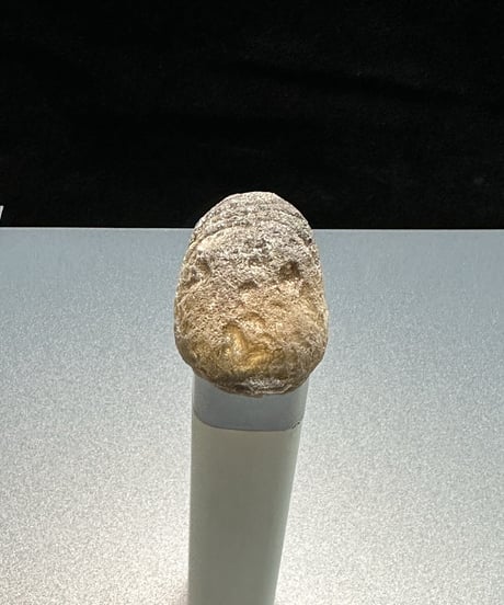 火の神の真珠　アグニマニタイト（インパクトガラス）　②