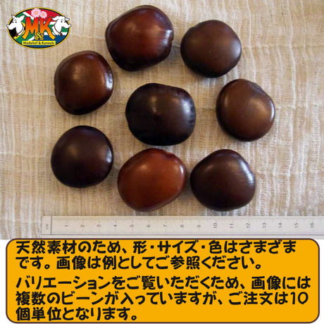 【送料無料】世界で一番大きな豆 幸せを呼ぶ「ズールーラブビーン」（モダマ）ばら売り 10個単位