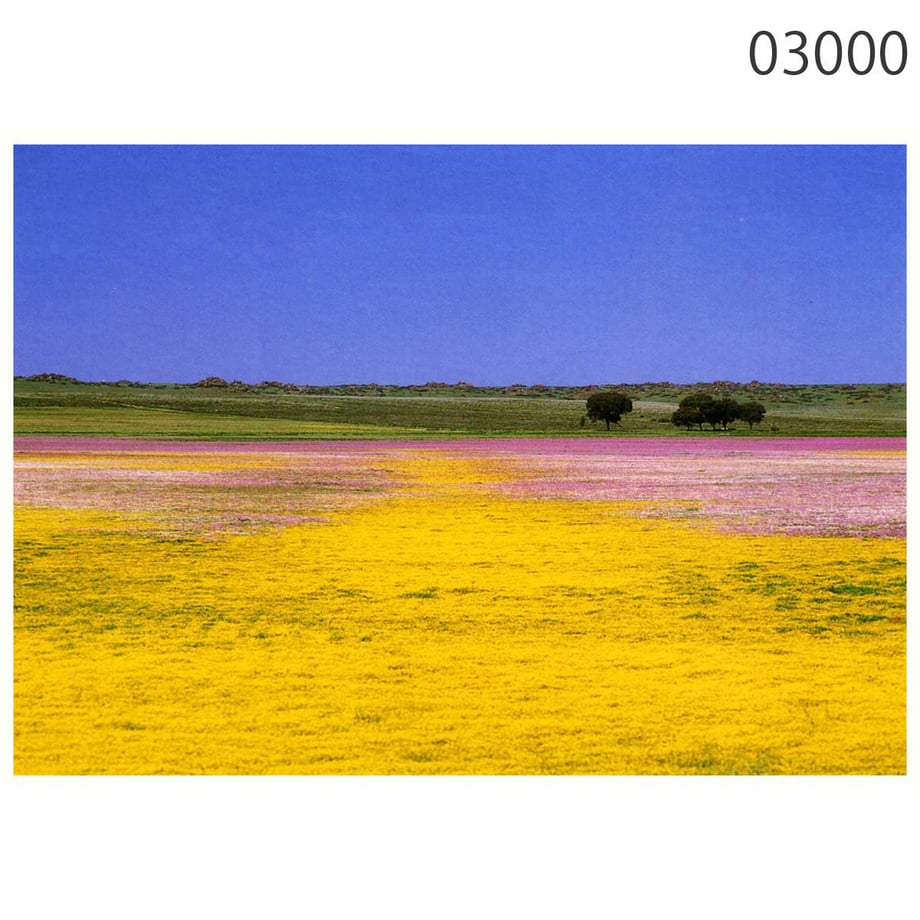5bb76fb905eeba792a00011b