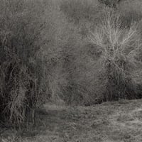K. Leimer - Atrophies For Piano (LP)(ModernClassical)