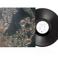 レコードの日　marucoporoporo - Conceive the Sea(LP)
