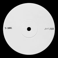 Solitary Dancer - Y-3001 (12inch)(IDM,Experimental)