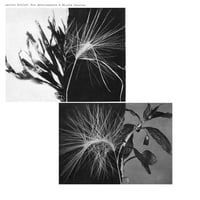 Andrew Pekler - New Environments & Rhythm Studies (LP)(Ambient,FourthWorld)