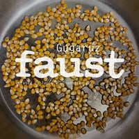 Faust - Gugaruz (curated by Zappi W. Diermaier) (LP Clear)(KlautRock)