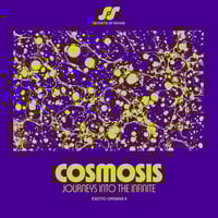 V.A. - COSMOSIS: JOURNEYS INTO THE INFINITE (LP)(BalearicHouse,Electronic)